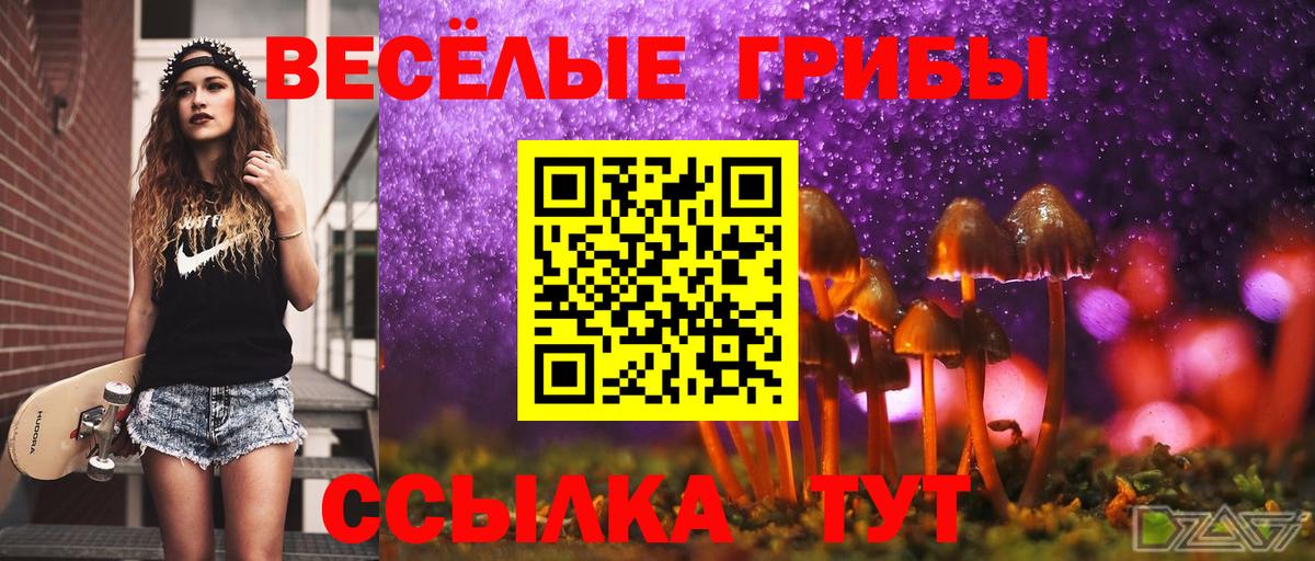 Галлюциногенные грибы Psilocybe  Галлюциногенные грибы прущие грибы  купить наркотик  Котовск  Вход с VPN 
