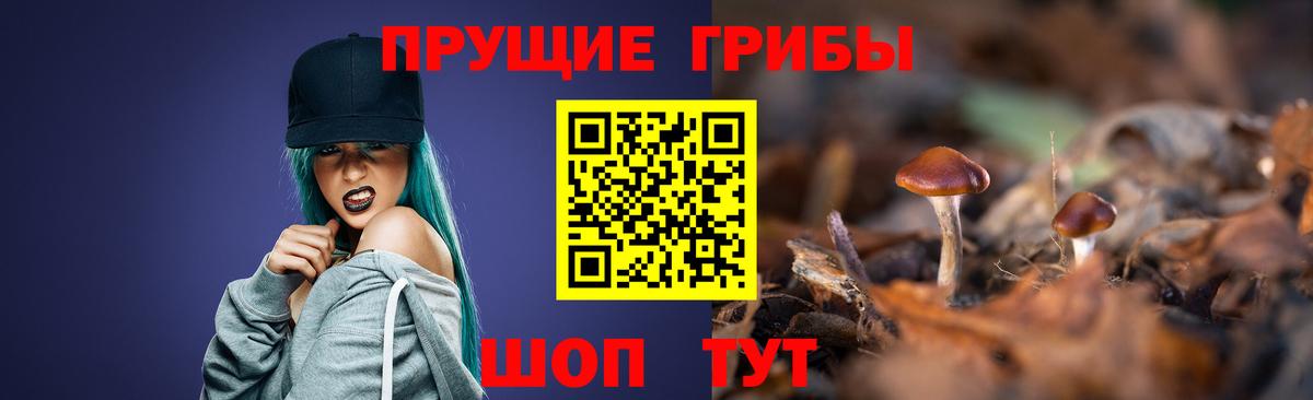 Псилоцибиновые грибы Psilocybine cubensis Котовск